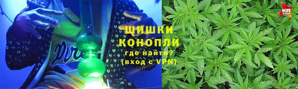 индика Медвежьегорск
