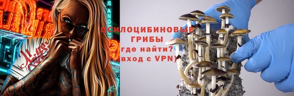 спайс Баксан