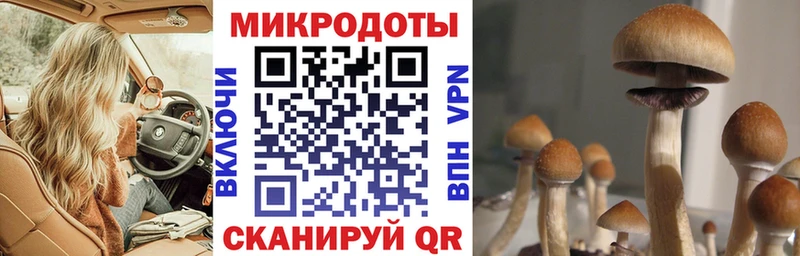 Галлюциногенные грибы GOLDEN TEACHER Никольское